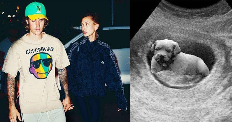 Instagram.com/justinbieber